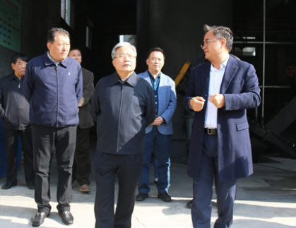 Zhang Xinqi, deputy director of the Standing Committee of the Provincial People's Congress, visited our company's demonstration project